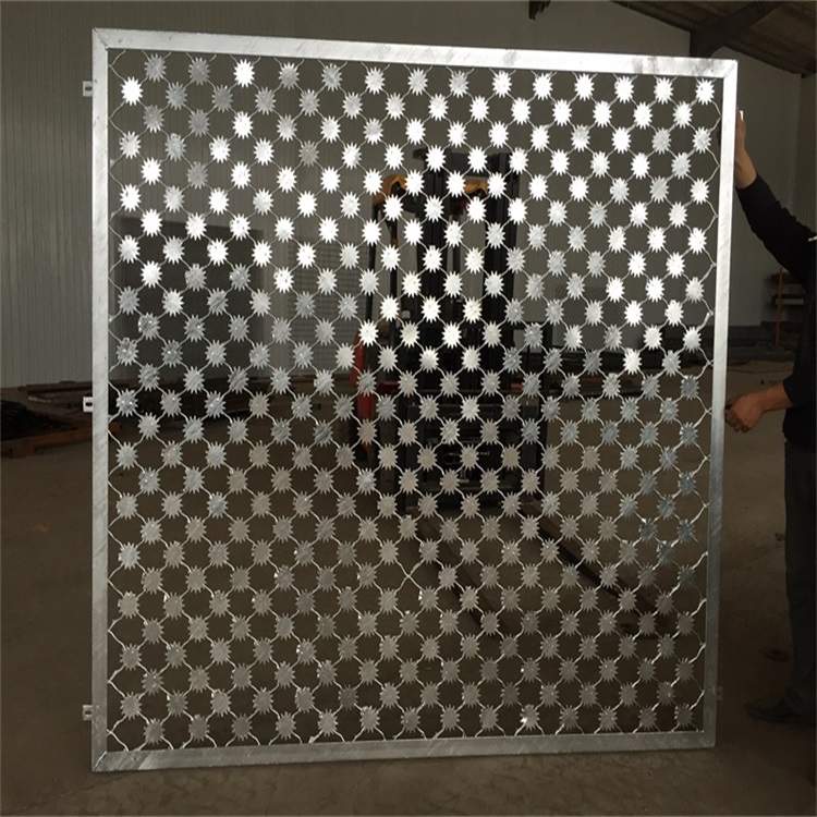 監(jiān)獄梅花刺隔離網墻圖片3