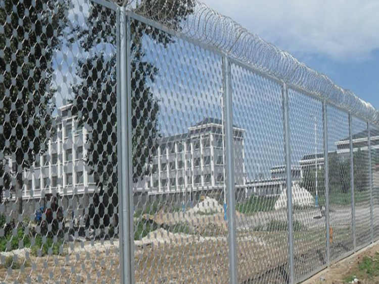 梅花刺隔離網(wǎng) 梅花刺隔離網(wǎng)