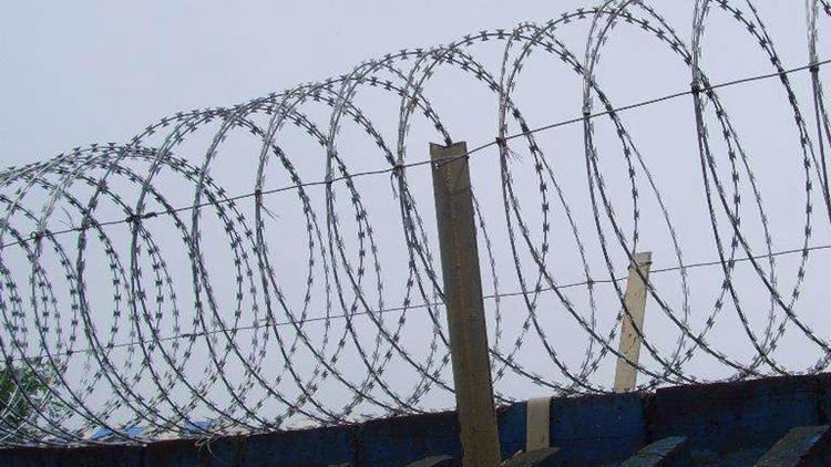 高鋅刀刺隔離18631858321 高鋅刀刺隔離18631858321