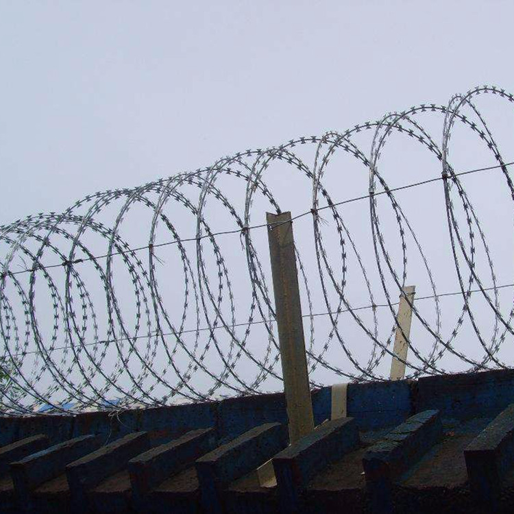 拉薩拉伸直線型刀片刺網已經驗收成功圖片3