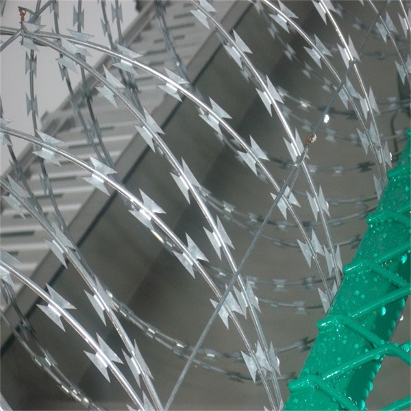 監(jiān)獄看守所蛇腹式刀刺網(wǎng)圖片2 監(jiān)獄看守所蛇腹式刀刺網(wǎng)圖片2