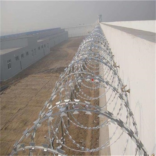 監(jiān)獄看守所蛇腹式刀刺網(wǎng)圖片3 監(jiān)獄看守所蛇腹式刀刺網(wǎng)圖片3