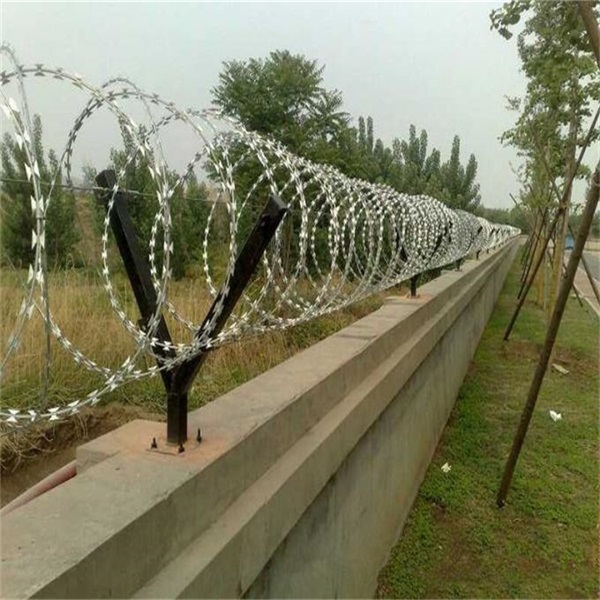 監(jiān)獄看守所蛇腹式刀刺網(wǎng)圖片4 監(jiān)獄看守所蛇腹式刀刺網(wǎng)圖片4